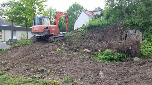 20150505 Steinmauer hinter Marterl 003